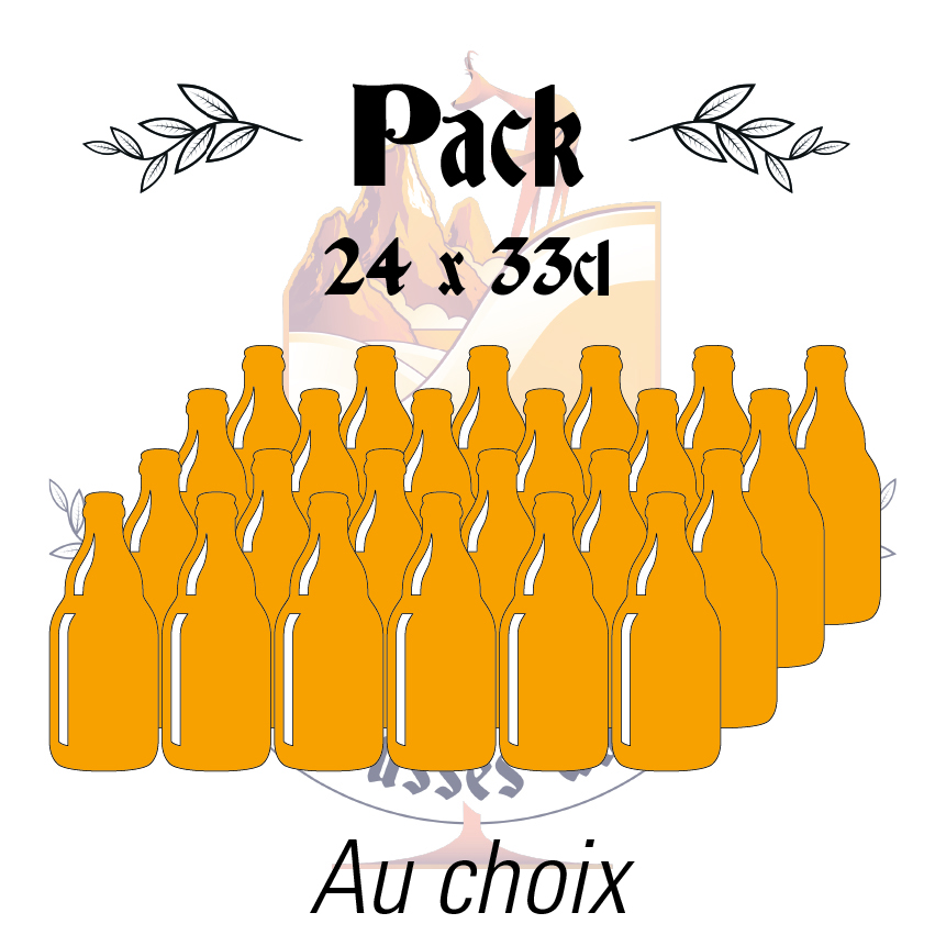 Bière pack 24x33cl