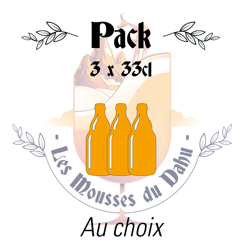 Bière pack 3x33cl
